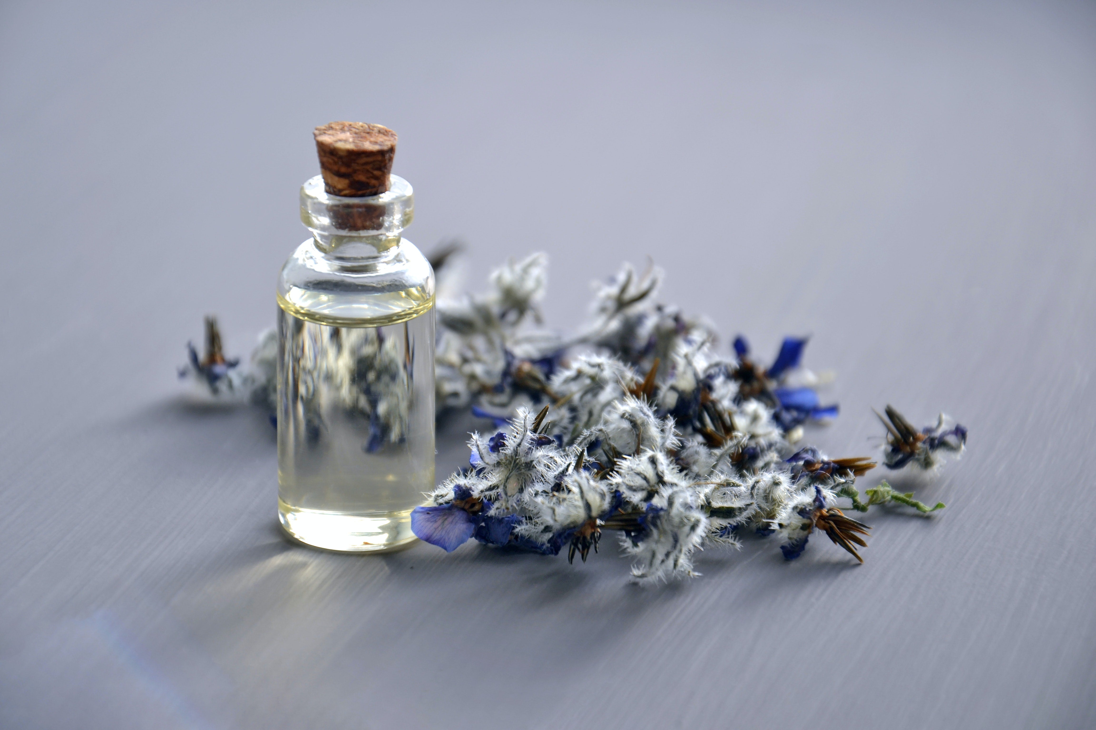 Can Car Air Fresheners Trigger Allergies?