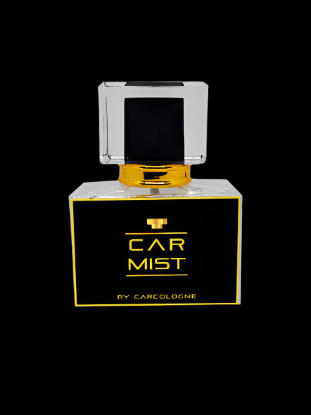 Black Opium Car Mist