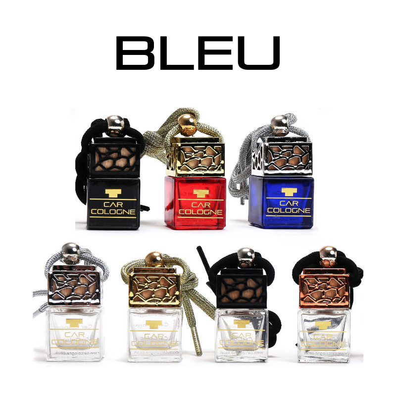 Bleu de Chanel Inspired autoparfum VIP 222 - Detailing Essentails